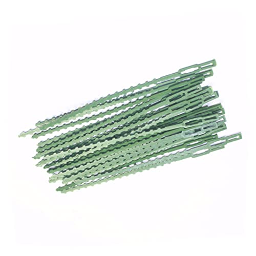 LIGIGWASH 30 Stück Grüne Nylon Kabelbinder mit Selbstverriegelung Lange Kabelbinder für Garten und Heimgebrauch zur Kabelorganisation und Sicherung LIGIGWASH 30 Stück Grüne Nylon Kabelbinder mit Selbstverriegelung Lange Kabelbinder für Garten und Heimgebrauch zur Kabelorganisation und Sicherung von LIGIGWASH