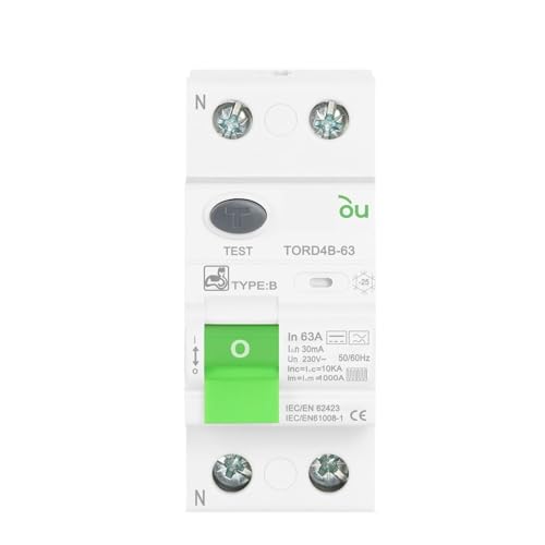 DC Elektrische Fahrzeug EV Lade Pile Fehlerstrom breaker 2P 63A 30mA Typ B 10KA Din Schiene Erde Leckage(2 Pole 100mA,32A) von LIHWQ