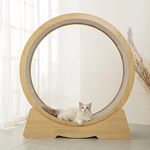 Katzen-Laufband aus Naturholz, geräuscharmes Katzenlaufband, Ferris, drehende CatCat-Möbel, mit Teppichboden (Größe L: von LIJBN