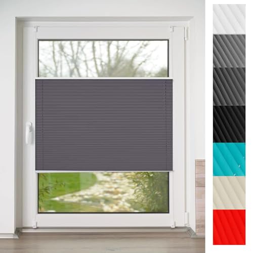 Plissee Klemmfix ohne Bohren 75 x 200 cm Blickdicht - Sichtschutz - Sonnenschutz Thermo Plisseerollo Klemmfix inkl. Zubehör für Wohnzimmer, Dunkelgrau Plissee Klemmfix ohne Bohren 75 x 200 cm Blickdicht - Sichtschutz - Sonnenschutz Thermo Plisseerollo Klemmfix inkl. Zubehör für Wohnzimmer, Dunkelgrau von LIJIAO