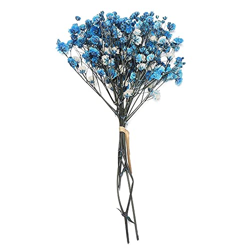 Mini Bouquet Blumen Dekorative Trockenblumen Natürliche Pflanzen bewahren Blumen für die Hochzeitsdekoration, Royal Blue von LIJUCAI