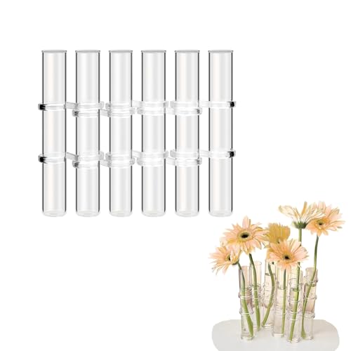 18cm Glas Reagenzglas Vase Set - Blumen Hydrokultur Deko Pflanzen Test Tube Ständer mit Klappverschluss - Transparentes Glasröhrchen Hydroponik Terrarium für Blumen.(6 Röhren gleiche Höhe) von LIKEUDO