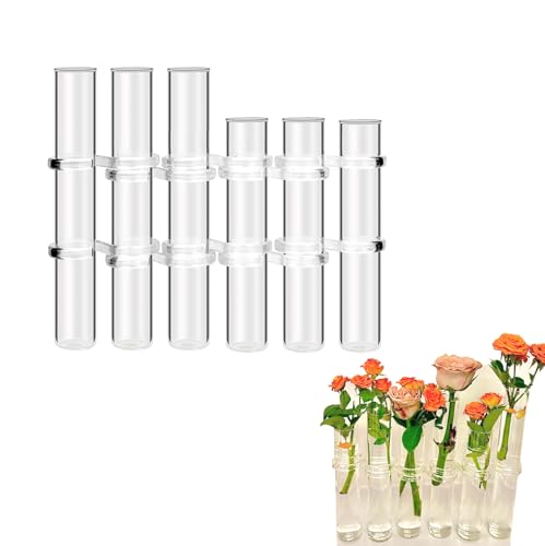 Reagenzglasvase mit Scharnier – Glasröhre, transparentes Hydrokultur-Terrarium für Blumen (6 Röhren in verschiedenen Höhen) von LIKEUDO
