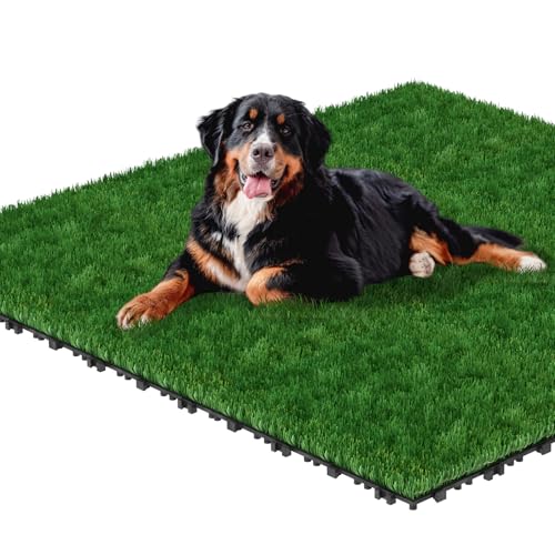 LILIIN 11 Stücke Kunstrasen Outdoor Rasenfliesen Rasen Klickfliesen Balkon Terrassenfliesen Balkonfliesen Grasteppich jedes Maß 30 x 30 cm Rasenfliesen Bodenbelag für Balkon Terrasse 1m² LILIIN 11 Stücke Kunstrasen Outdoor Rasenfliesen Rasen Klickfliesen Balkon Terrassenfliesen Balkonfliesen Grasteppich jedes Maß 30 x 30 cm Rasenfliesen Bodenbelag für Balkon Terrasse 1m² von LILIIN