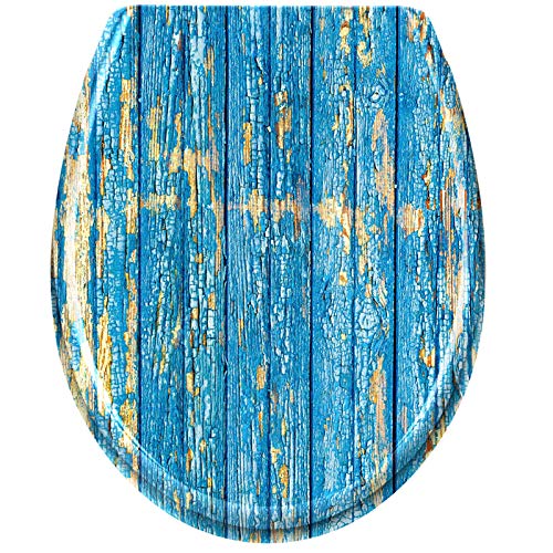 LILIIN Toilettendeckel, WC Sitz mit Absenkautomatik, Quick-Release Funktion für einfach Reinigung, Antibakteriell Klodeckel Klobrille aus Duroplast- Blau Planks von LILIIN