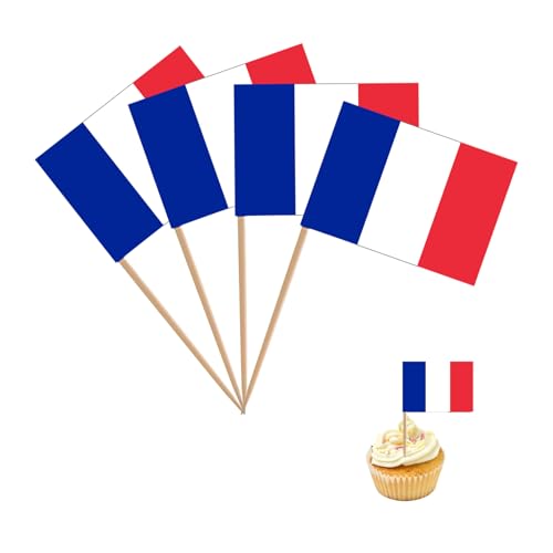 100 Stück Deutschland Flagge Klein,Deutschland Flagge Zahnstocher mit Fähnchen,Deutsche Deko Fahne Klein Mini Cocktail Flaggen Cupcake Toppers Stick (Frankreich Zahnstocher Flagge, Einheitsgröße) von LILIKAI