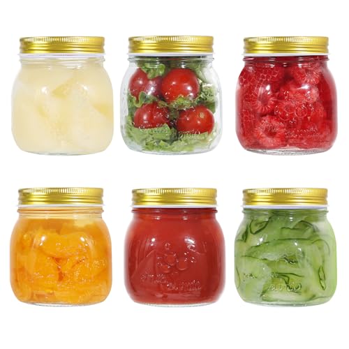 LIMILI Gläser mit Deckel, 6 Stück, 300 ml, Mehrzweck-Einmachgläser mit Deckel, Marmeladengläser, Einweckgläser, Einmachgläser, Einmachgläser, Mahlzeiten-Vorbereitungsgläser für die Aufbewahrung von von LIMILI