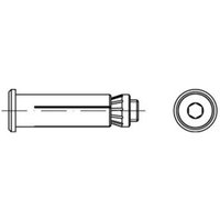 Art 82031 Lindapter Hollo-Bolt St./10.9 hbcsk 10-Größe 1 galv. verzinkt s von LINDAPTER
