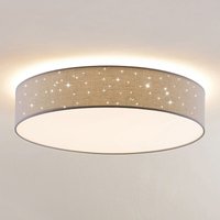 Lindby - gebraucht] Ellamina Led Deckenlampe Deckenlampe Lampe Leuchte Hellgrau ø60 Cm R379 B-Ware von LINDBY
