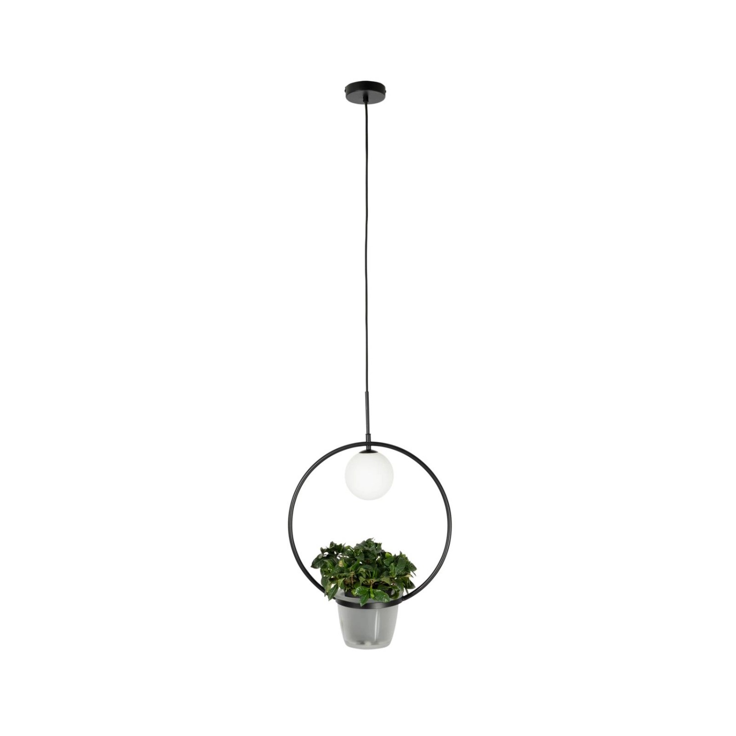 Lindby Pendelleuchte Orna 10012291 Modern in Schwarz aus Metall 1-flammig G9 Wohnzimmerleuchte Lindby Pendelleuchte Orna 10012291 Modern in Schwarz aus Metall 1-flammig G9 Wohnzimmerleuchte von LINDBY