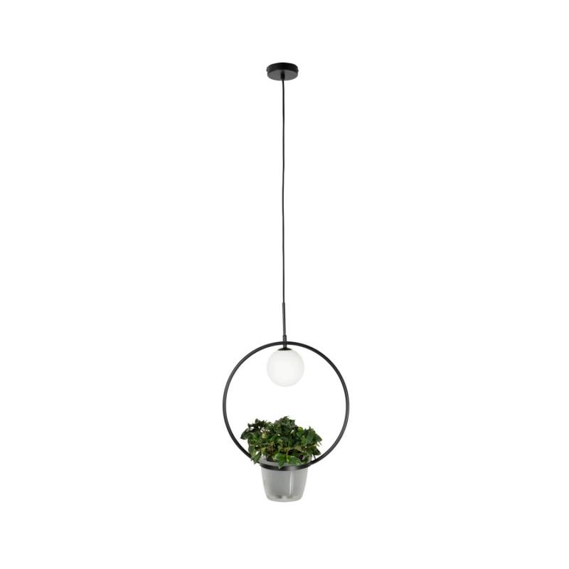 Lindby Pendelleuchte Orna 10012291 Modern in Schwarz aus Metall 1-flammig G9 Wohnzimmerleuchte Lindby Pendelleuchte Orna 10012291 Modern in Schwarz aus Metall 1-flammig G9 Wohnzimmerleuchte von LINDBY