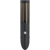 Wandleuchte außen 'Statius' aus Metall mit Bewegungsmelder von Lindby von LINDBY