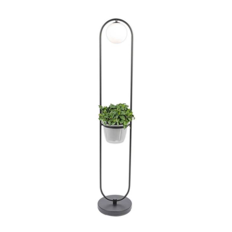 Lindby Stehlampe Orna 10012289 Modern in Schwarz aus Metall 1-flammig G9 Wohnzimmerleuchte Lindby Stehlampe Orna 10012289 Modern in Schwarz aus Metall 1-flammig G9 Wohnzimmerleuchte von LINDBY