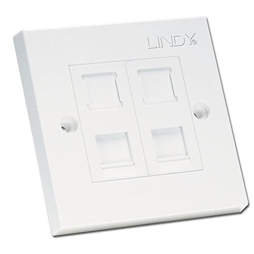 LINDY CAT6 Single Wall Plate with 2 x RJ-45 Shuttered Socket Unshielded von LINDY