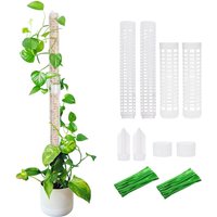 Linghhang - 4 stücke Kletterpflanzen Moosstangen Stapelbar Kunststoff Hydrofoam Pflanzen Säule Stamm Aufstehen Stange Klettern Rattan Befestigungen Linghhang - 4 stücke Kletterpflanzen Moosstangen Stapelbar Kunststoff Hydrofoam Pflanzen Säule Stamm Aufstehen Stange Klettern Rattan Befestigungen von LINGHHANG