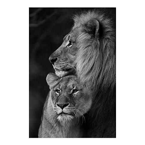 Schwarz-Weiß-Löwen Leinwand Kunst Poster und Drucke Tiere Leinwand Gemälde an der Wand Kunst Löwen Bilder für Schlafzimmer Dekor 120x80cm rahmenlos von LINKGIN Home