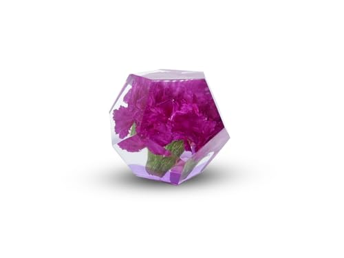 Ewige Blumennelke | Blume aus Harz | Nelke konserviert in Harz | Kunstharz-Kunstfiguren | Harz-Souvenir | Briefbeschwerer (Magenta Pink) von LINOA ART