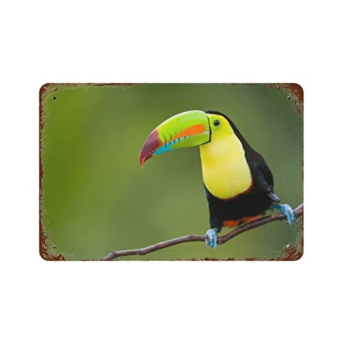 LINQWkk Schwarzes Tukan Metall-Blechschild Tukan auf einem Baumzweig im tropischen Wald oder Dschungelschild Wandkunst Dekor für Zuhause Bars Clubs Cafés Indoor Outdoor 14 x 20,3 cm von LINQWkk