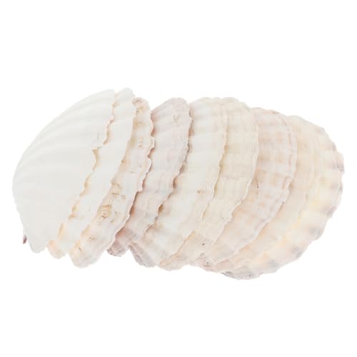 LIOOBO 1 Satz Jakobsmuschelschalen -Teller Form Platte Groß Muscheldekor Party Anzeige Hochzeitsdeko Bastelset Aquariumdekoration Fisch Zubehör Schmuck-schmuck-tablett Hülse Weiß 10 Stück von LIOOBO
