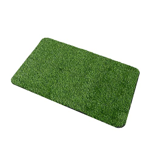 LIOOBO 1 Stück Türmatte Matten Gras Fußmatte künstlich Teppich Eingangsmatte Eingang Bodenmatte Außenmatte Fake Gras Pad Polypropylenfaser (Polypropylen) Green Zufällige Farbe von LIOOBO