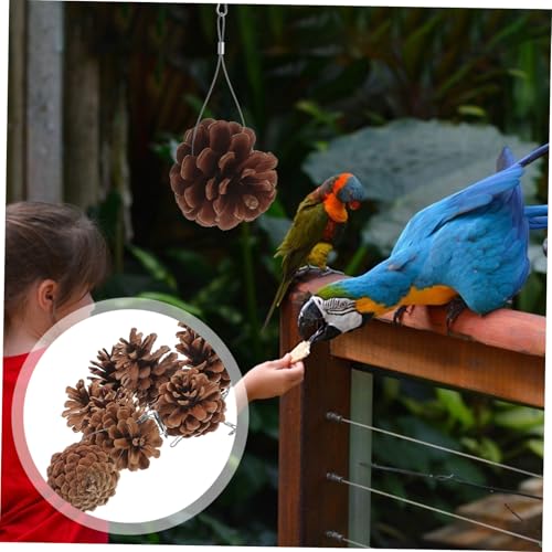 LIOOBO 10 Stück Teiliges Papageien Kauspielzeug aus Natürlichem Kiefernzapfen Robustes Beißfestes Vogels für Wellensittiche Nymphensittiche und Andere Käfigvögel mit Aufhängung zur LIOOBO 10 Stück Teiliges Papageien Kauspielzeug aus Natürlichem Kiefernzapfen Robustes Beißfestes Vogels für Wellensittiche Nymphensittiche und Andere Käfigvögel mit Aufhängung zur von LIOOBO