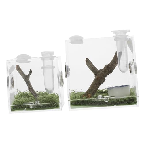 LIOOBO 2 Stück Transparente Springspinnen Zuchtbox aus Acryl mit Futteröffnung Kleines Terrarium für Spinnen Grillen Schnecken und Insekten Atmungsaktives Habitat für Kleine Reptilien LIOOBO 2 Stück Transparente Springspinnen Zuchtbox aus Acryl mit Futteröffnung Kleines Terrarium für Spinnen Grillen Schnecken und Insekten Atmungsaktives Habitat für Kleine Reptilien von LIOOBO