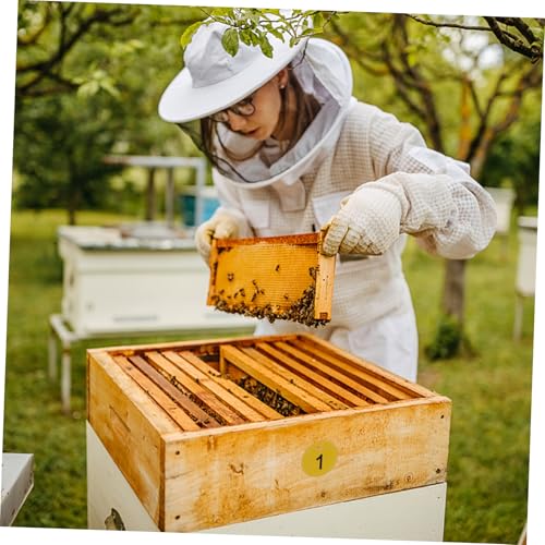 LIOOBO 20 Stücke Hängende Kunststoff Nummernmarker für Bienenstöcke Werkzeug Nummernmarkierung Leicht zu Befestigen 0-20 Kennzeichnung für Imker LIOOBO 20 Stücke Hängende Kunststoff Nummernmarker für Bienenstöcke Werkzeug Nummernmarkierung Leicht zu Befestigen 0-20 Kennzeichnung für Imker von LIOOBO