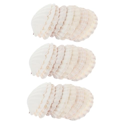 LIOOBO 3 Sätze Jakobsmuschelschalen -Teller Tablett Muschelplatte Form Die Party Hochzeitsdeko Bastelset Muschel-schmuckhalter Dekorative Muscheln Muscheldekor Hülse Weiß 10 Stück * 3 LIOOBO 3 Sätze Jakobsmuschelschalen -Teller Tablett Muschelplatte Form Die Party Hochzeitsdeko Bastelset Muschel-schmuckhalter Dekorative Muscheln Muscheldekor Hülse Weiß 10 Stück * 3 von LIOOBO
