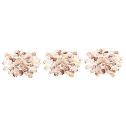 LIOOBO 3 Stück 1 Schalendekoration farbig mit winzig thematisiert Vase -Füllstoff Landschaftsmuscheln selber Machen Schalen für das Handwerk Wanddeko selber Machen Hülse LIOOBO 3 Stück 1 Schalendekoration farbig mit winzig thematisiert Vase -Füllstoff Landschaftsmuscheln selber Machen Schalen für das Handwerk Wanddeko selber Machen Hülse von LIOOBO