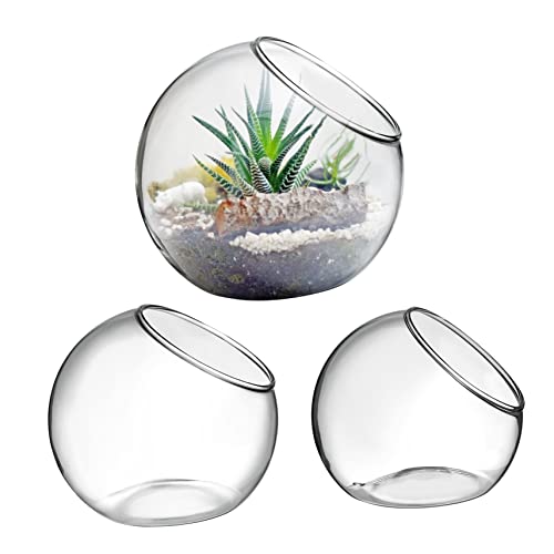 LIOOBO 3 Stück Terrarium Pflanzgefäße für Luftpflanzen Runde Glasvase für Schreibtisch Dekoration im Home Office Transparentes Design für Sukkulenten und DIY Projekte von LIOOBO