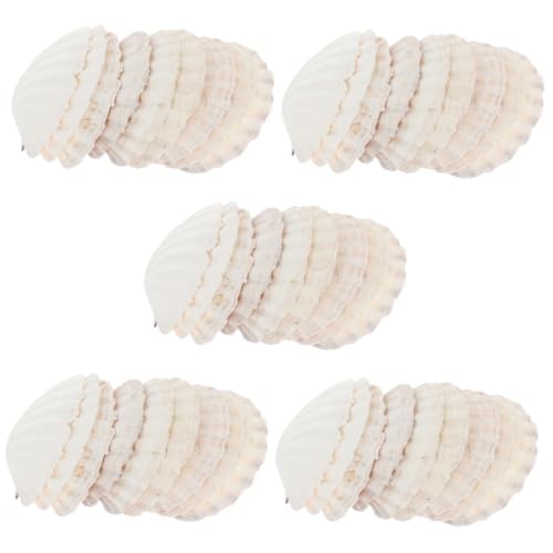 LIOOBO 5 Sätze Jakobsmuschelschalen -Teller Dekoratives Meer Schalenplatten Muscheln Realistisch Bunt Groß Dekoration Schmuck Die DIY Gericht Form Tropisch Hülse Weiß 10 Stück * 5 von LIOOBO