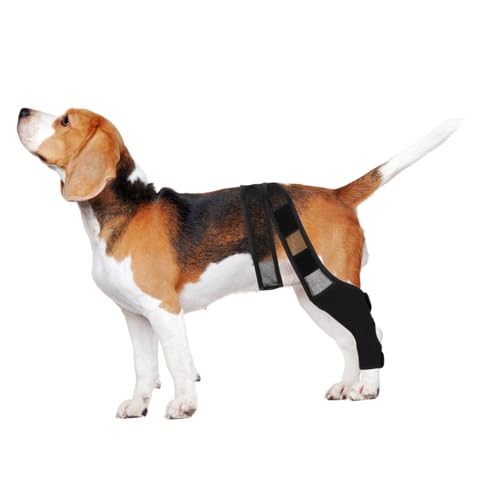 LIOOBO Hundekniebandage Elastisch Atmungsaktiv Verstellbar für Verletztes Hinterbein Unterstützung bei Blutkreislaufförderung Schnelle Genesung für Ältere und Behinderte Hunde XL Schwarz von LIOOBO