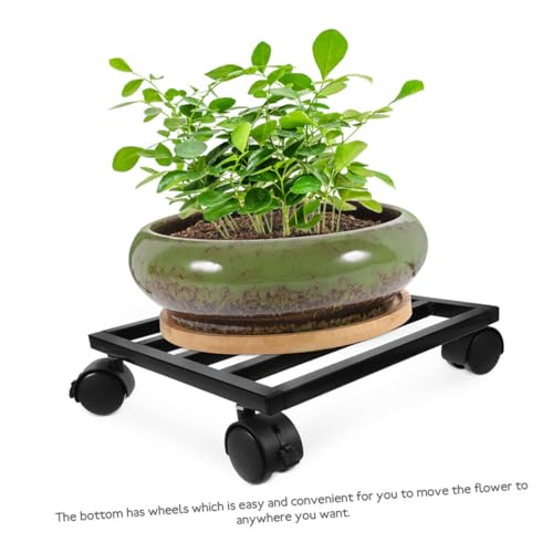 LIOOBO Metall Blumentopfständer mit Pflanzroller für Indoor und Outdoor Tragbarer Pflanzenhalter mit Erhöhter Ablage gegen Wasseraustritt Schützende Universalrollen für Schonenden LIOOBO Metall Blumentopfständer mit Pflanzroller für Indoor und Outdoor Tragbarer Pflanzenhalter mit Erhöhter Ablage gegen Wasseraustritt Schützende Universalrollen für Schonenden von LIOOBO