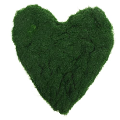 LIOOBO Miniature Kunstgras für Realistisches Nylon Gras für DIY Projekte Sandtisch und Modellbau Wartungsfrei und Einfach zu Verwenden von LIOOBO
