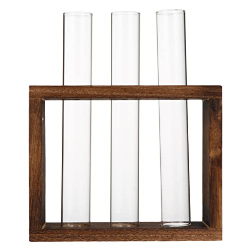 LIOOBO Einfacher Glasvase Mit Holzständer Für Hydroponik Teströhren-vase Für Pflanzen Dekoration Für Zuhause Küche Und von LIOOBO