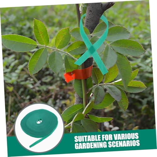 LIOOBO Wiederverwendbares Pflanzenband Grün Flexibles Gartenklettband Starker Haftkraft Leichte Rankhilfe für Gartenpflanzen Kletterpflanzen Multifunktionale Kabelbinder LIOOBO Wiederverwendbares Pflanzenband Grün Flexibles Gartenklettband Starker Haftkraft Leichte Rankhilfe für Gartenpflanzen Kletterpflanzen Multifunktionale Kabelbinder von LIOOBO