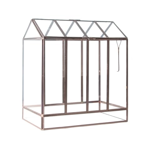Geometrisches Terrarium aus Glas, erstellen Sie Ihre eigenen Blumen, Farne, Moos, Tafelaufsatz für den Innenbereich, Gartendekoration, Hochzeitsgeschenk von LIPINGJING0201