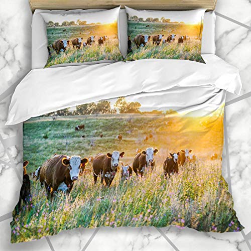 LISUMAL Bettwäsche - Bettwäscheset Viehbestand-Kuh Nebraska Hereford-Vieh-Sonnenuntergang-Natur-Landschafts-Park-Bauernhof-Mittelwesten Sunny Agriculture Mikrofaser weich dreiteilig135*200 von LISUMAL