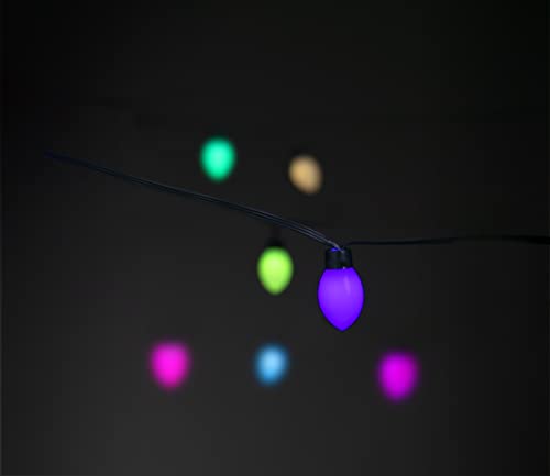 LITE BULB MOMENTS Smart Outdoor Light Chain | Party | 10m, 50 x Oval Globe | Wasserfeste Lichterkette IP65 | Smart Home, app-gesteuert | +16 Mio Farben | dynamische Szenen | Musik-Sync LITE BULB MOMENTS Smart Outdoor Light Chain | Party | 10m, 50 x Oval Globe | Wasserfeste Lichterkette IP65 | Smart Home, app-gesteuert | +16 Mio Farben | dynamische Szenen | Musik-Sync von LITE BULB MOMENTS