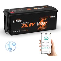 Litime - 24V 100Ah LiFePO4 Lithium Batterie Mit Bluetooth Low Temp Schutz 2560Wh von LITIME