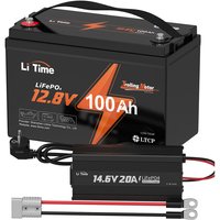 Litime - Batterie LiFePO4 Lithium Akku 12V100Ah tm für Trolling Motoren &14.6V 20A Lithium Batterieladegerät für 12V LiFePO4 Lithium Batterie von LITIME