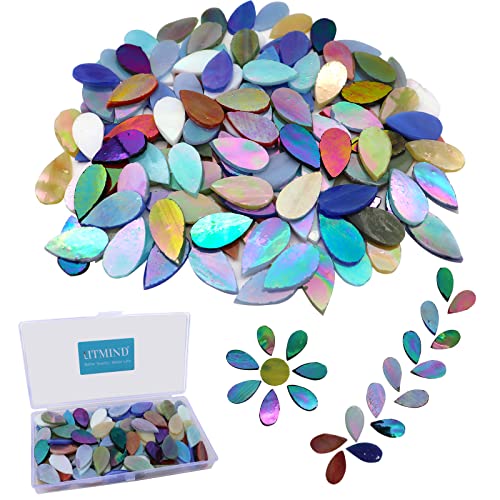 LITMIND 120 Stück schillernde Glasmosaikfliesen zum Basteln, vorgeschnittene gemischte Farben, Blütenblätter, Buntglasstücke, Regentropfenglas, Mosaikherstellung für Erwachsene von LITMIND