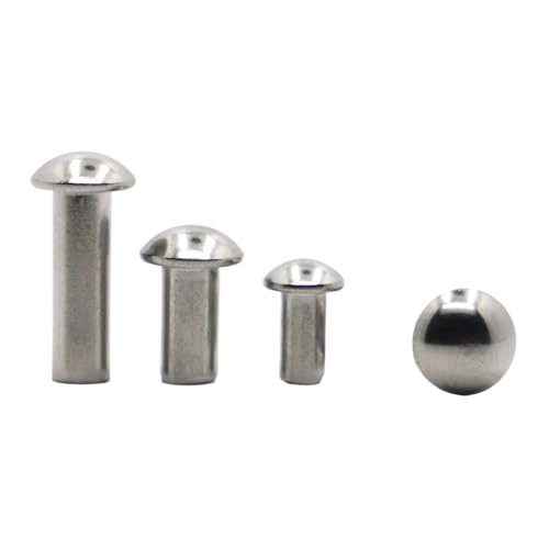 LIUCH 10–50 Stück M0.8 M1 M1.2 M1.4 M1.6 M2 M2.5 M3 M4 M5 M6 304 Edelstahl Massiv Rundkopfniet Legierung Selbststeckniet GB867(M4 20pcs,40mm) von LIUCH