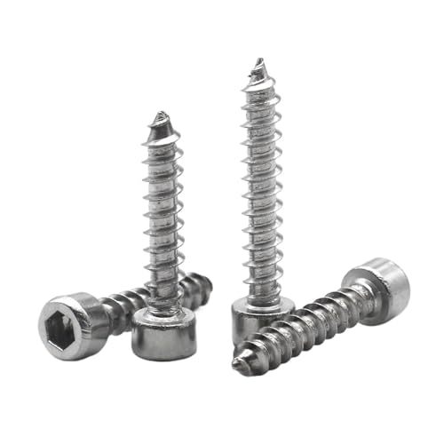 LIUCH 100/50/25/10 Stück 304 Edelstahl M1.7 M2 .3 .6 M3 .5 M4 M5 M6 M8 Innensechskantschrauben mit Innensechskant(12mm,M2.6 (100pcs)) von LIUCH