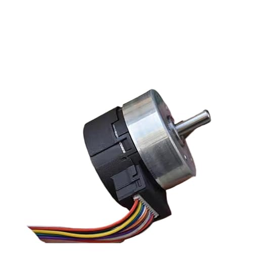 LIUCH 24H bürstenloser Servomotor DC 12V, integrierter Antrieb, PWM-Geschwindigkeitsregelung, 100-Zeilen-Encoder von LIUCH