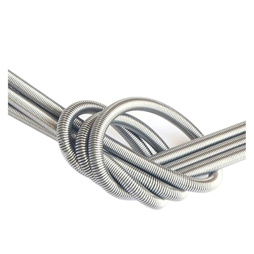 LIUCH Heizelement für Ofen, Heizdraht, 220 V, flexibles Federrohr, Eisen, Chrom, Aluminiumkabel, 300–1000 W (800 W, 302 mm), 2 Stück von LIUCH