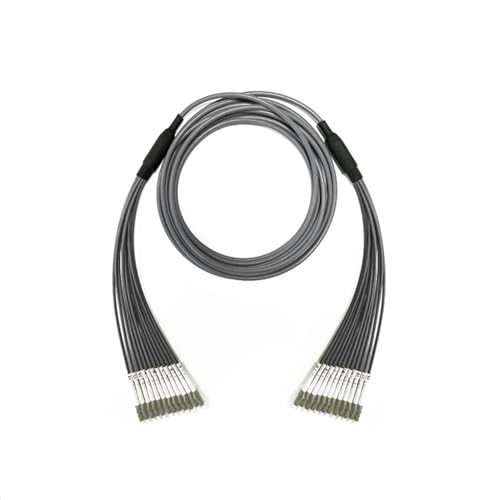 LIUHUANL 12 Kerne Multimode gepanzertes Patchkabel (30 m, 1 Stück SC-SC) von LIUHUANL