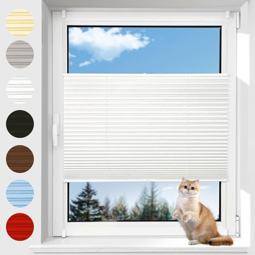 LIUWEIE Plissee Klemmfix ohne Bohren 60 x 60 cm Schallschutz Wärmeisolierung Fenster Plissee Klemmfix Jalousie kinderleichte Montage für Schlafzimmer Badezimmer Küche, Weiß von LIUWEIE