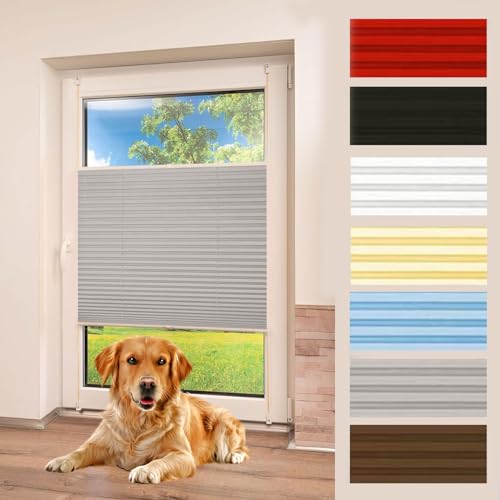 Plissee ohne Bohren Verdunkelung 60 x 60 cm Blickdicht Sichtschutz Sonnenschutz Faltrollo für Fenster & Tür Klemmfix mit Klemmträger für Fenster & Tür, Hellgrau von LIUWEIE