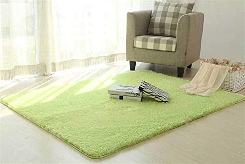 LIVEINU Hochflor Shaggy Teppich für Wohnzimmer Langflor Pflegeleicht Rechteck Teppich Hochwertig Hohe Fadendichte Wasser Absorbierend Badezimmerteppich Für Wohnzimmer Gras Grün 300x400cm von LIVEINU